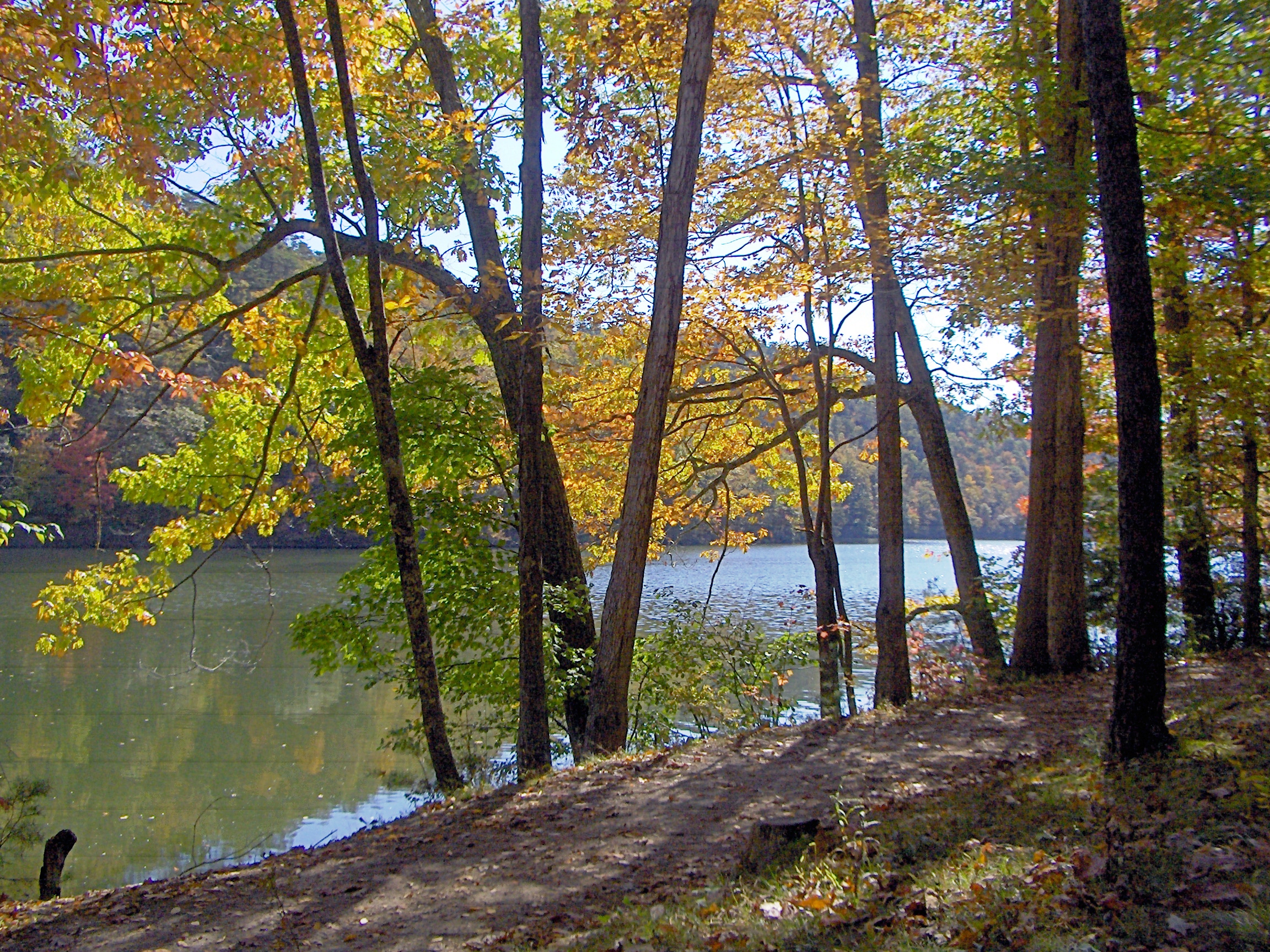 A View of Fisherman's Run